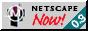 Netscape Now!